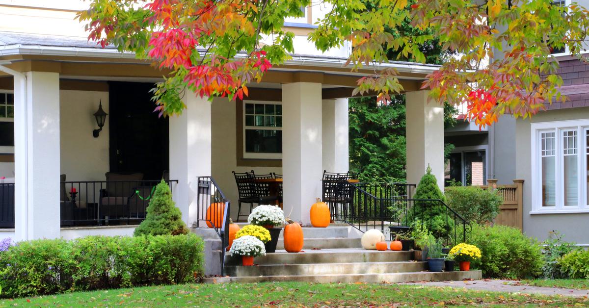 Must-Do Fall Prep for Strong Spring Growth