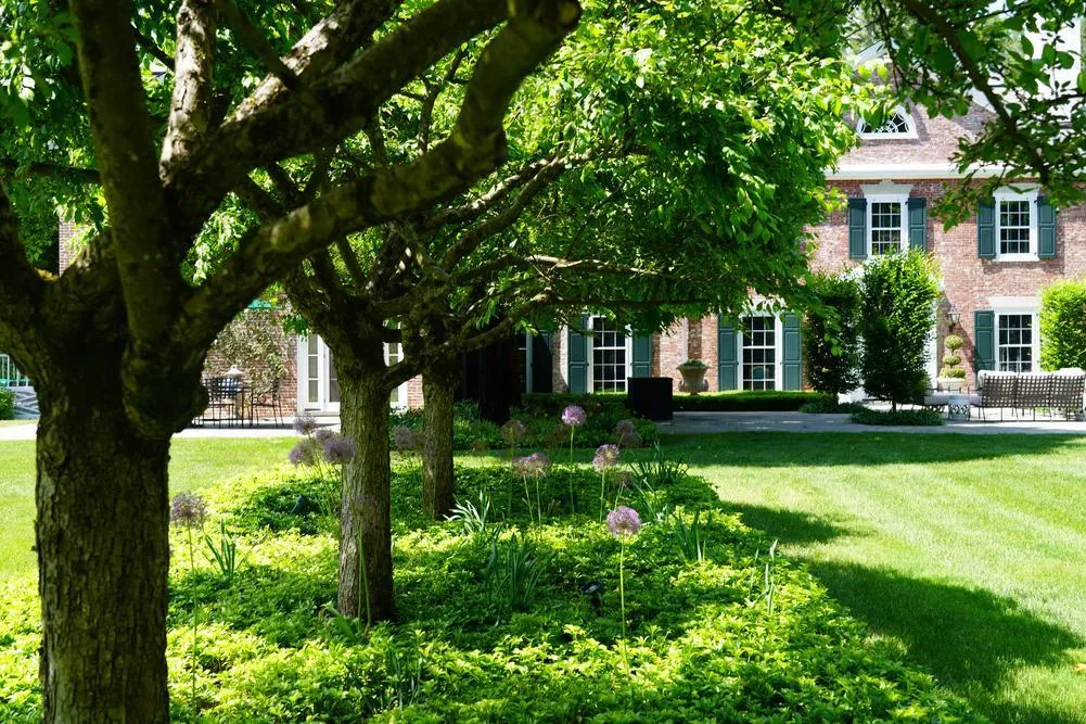 Signs You’re Overwatering or Underwatering Your Trees