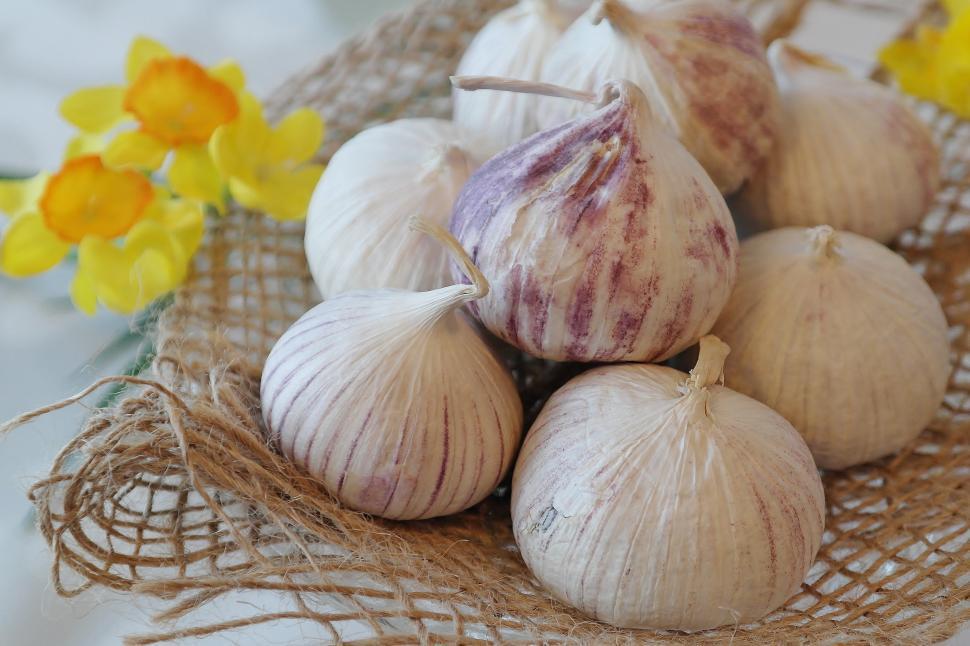 Group of garlic bulbs in a basket