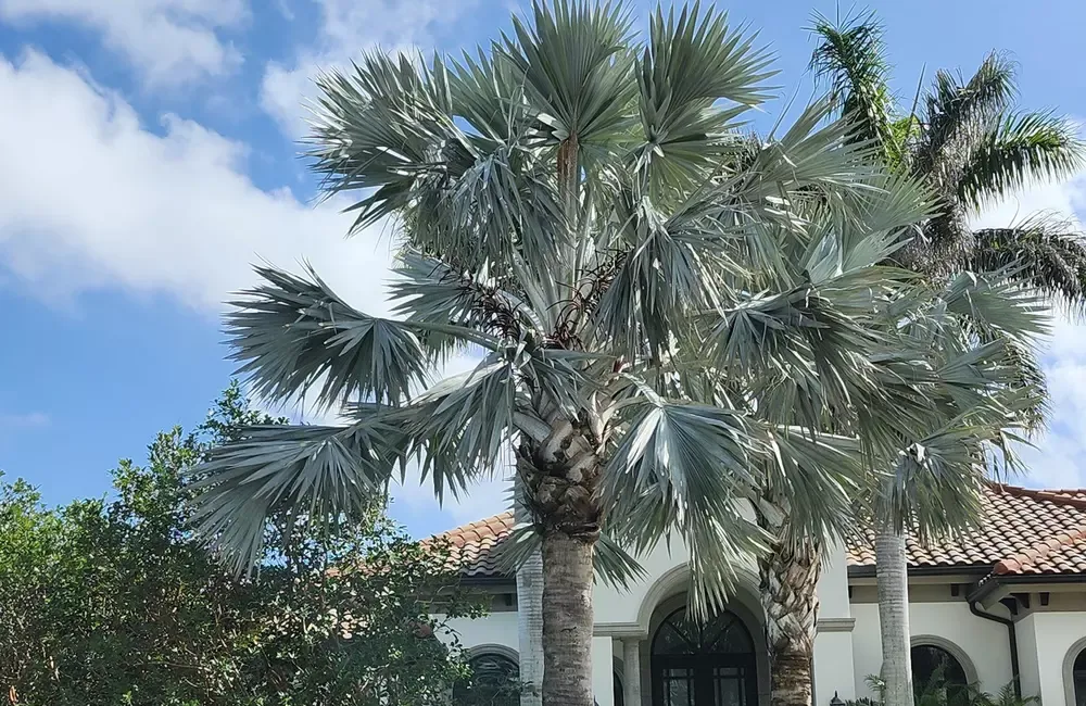 Florida home