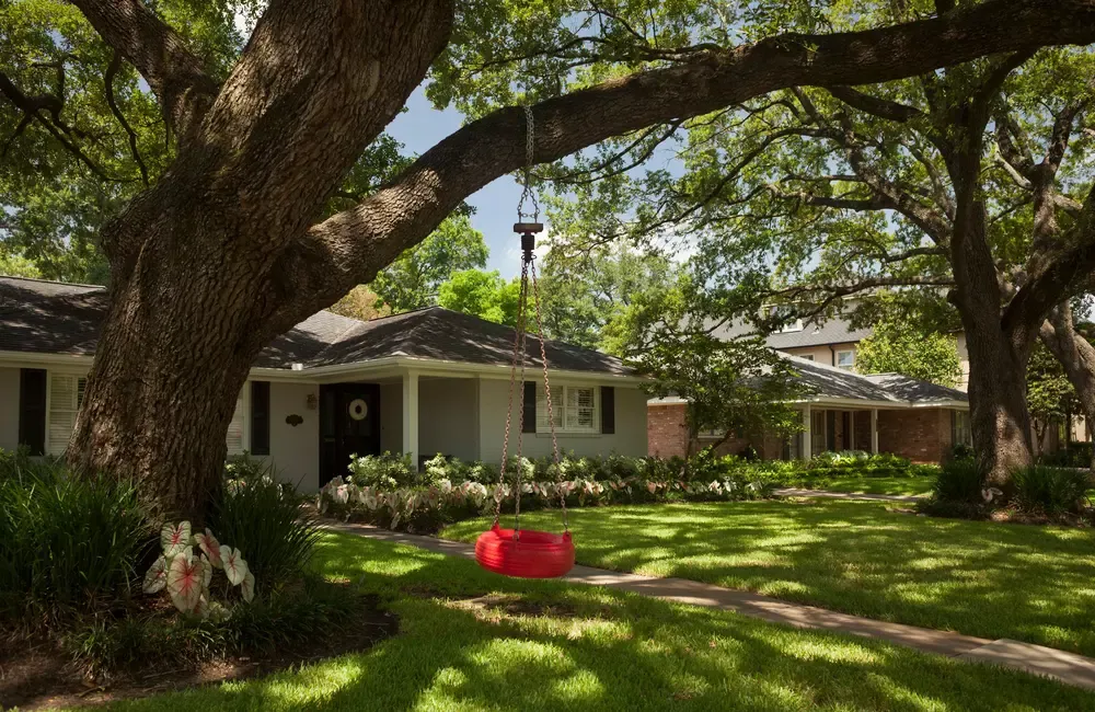Spring Care for Trees, Shrubs, and Lawns in Warmer Climates
