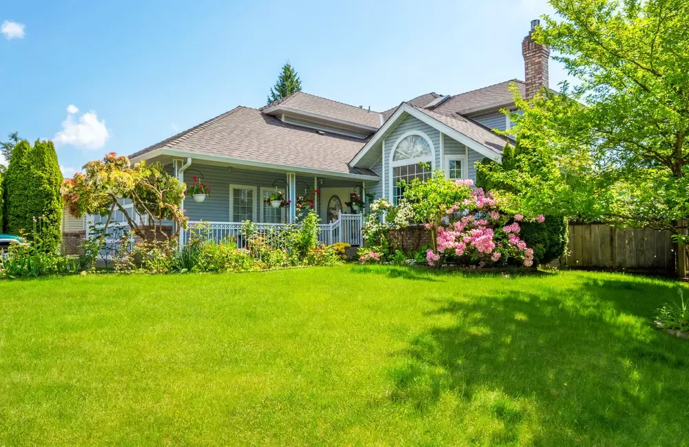 A Guide to Spring Care for Your Trees, Shrubs & Lawn