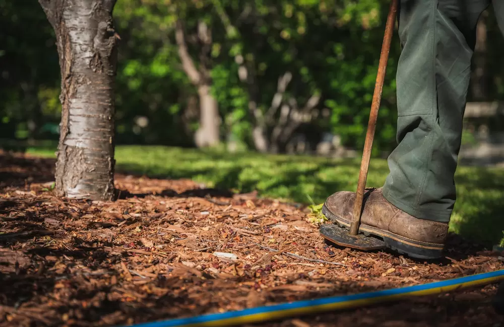 Mulching in Colorado: Your essential guide to a thriving, water-wise landscape
