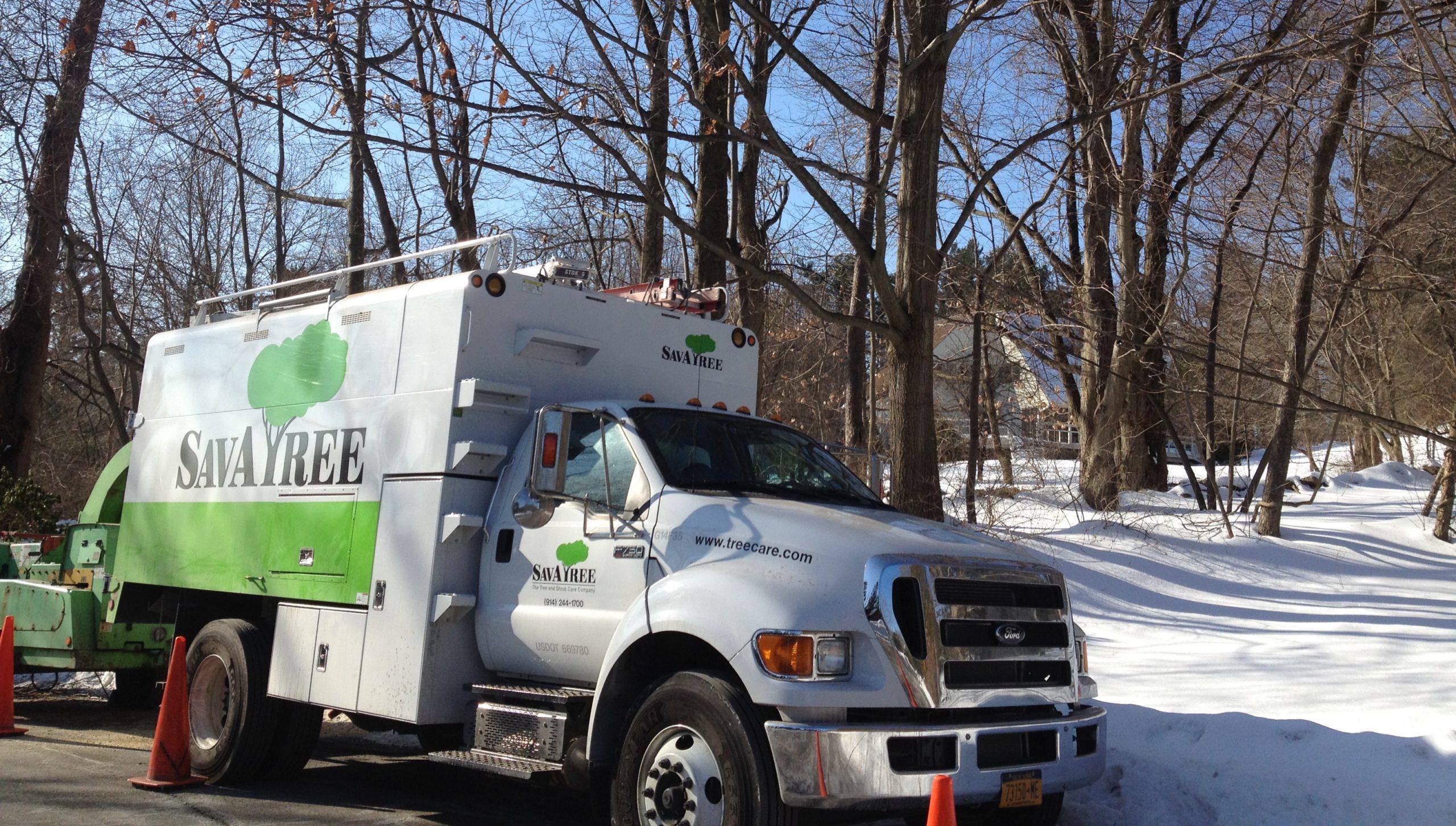 SavATree truck in snow
