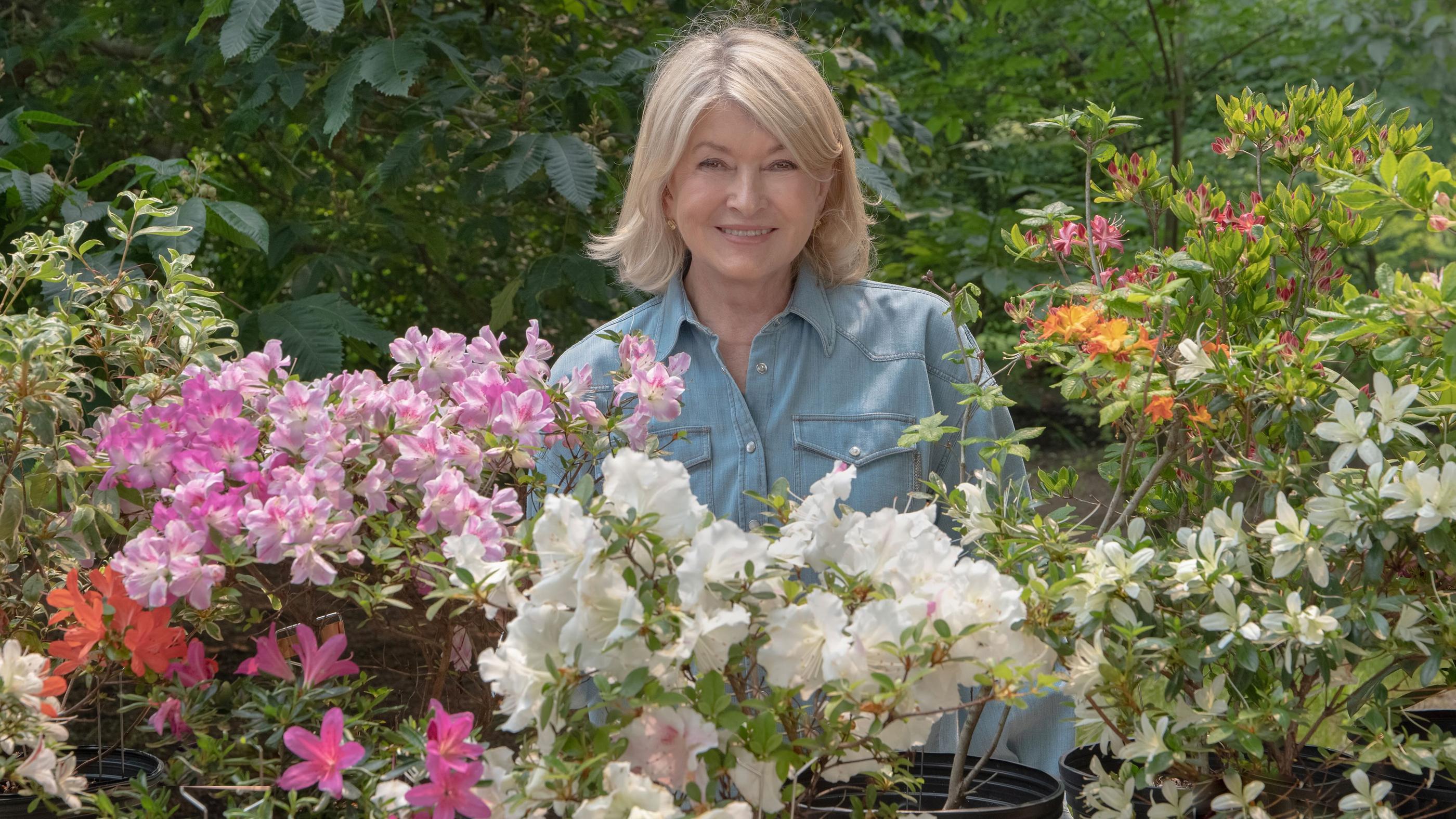 Martha Stewart in her garden
