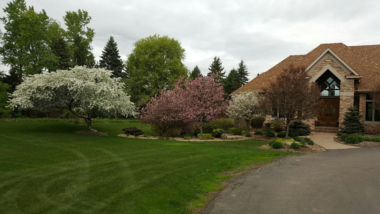 A house with a large manicured lawn and trees