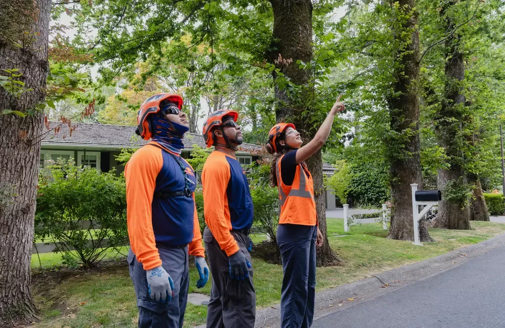 SavATree Wins 2026 Training Magazine MVP Award for Excellence in Workforce Development