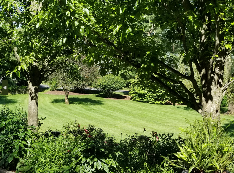 Timely Tips to Keep Your Landscape Healthy and Vibrant All Summer