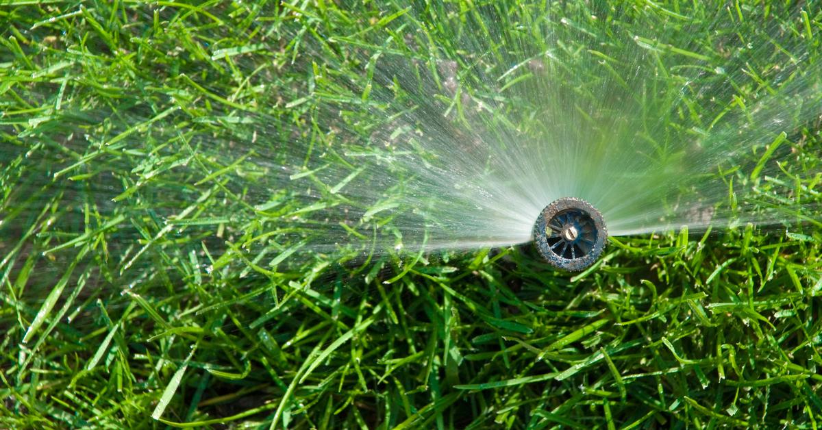irrigation on lawn