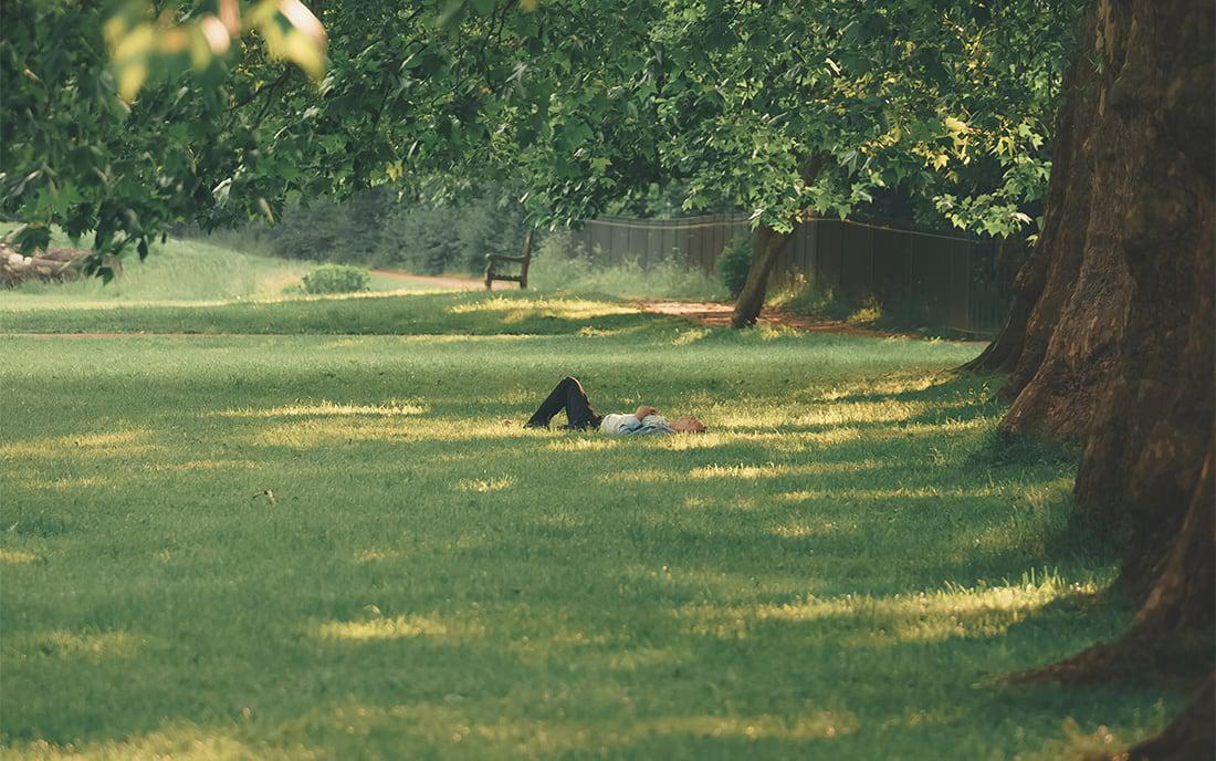 a person lying on a lawn