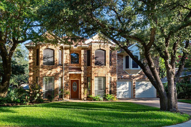 Expert Tips for Fertilizing Trees in Texas: When, How & Best Practices