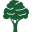Tree Care Icon